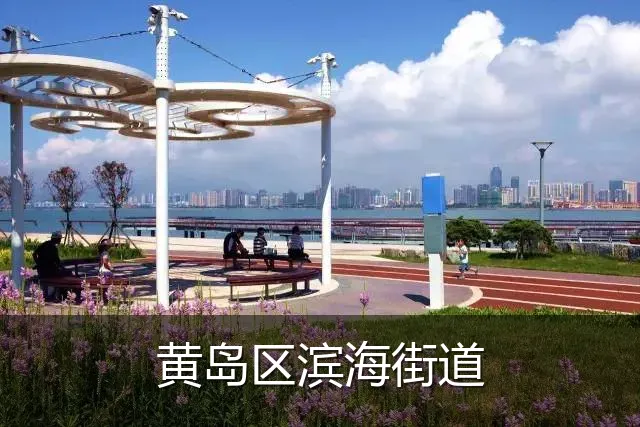 黄岛区滨海街道